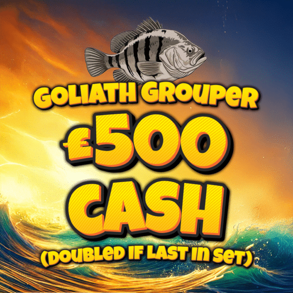 Goliath Grouper - £500 Cash (Doubled If Last In Set)