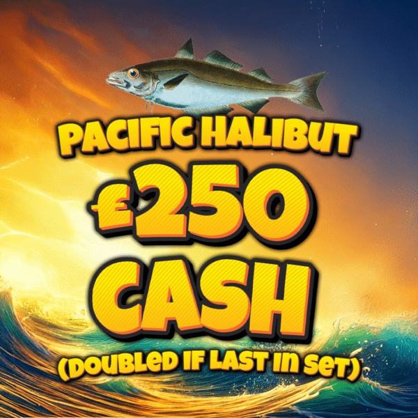 Pacific Halibut - £250 Cash (Doubled If Last In Set)