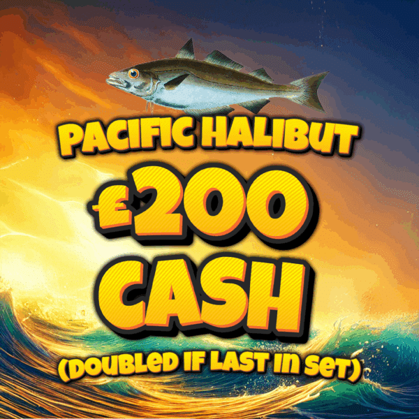 Pacific Halibut - £200 Cash (Doubled If Last In Set)