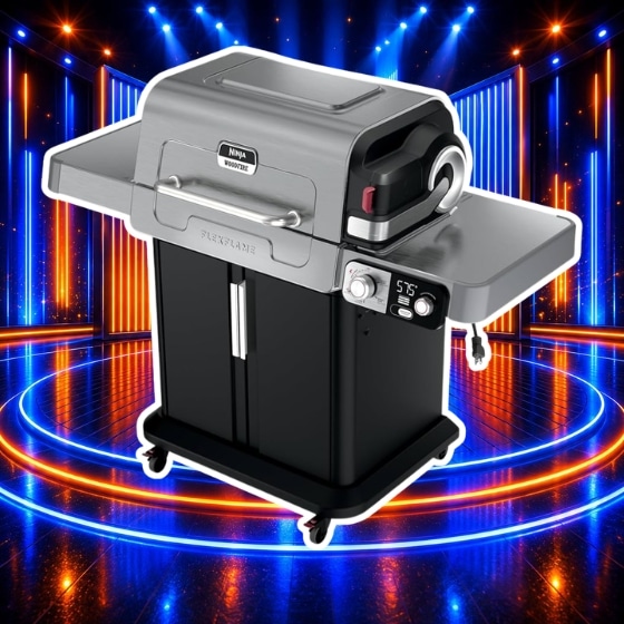 Ninja Flex Flame Outdoor Cooking System Or £900 Cash