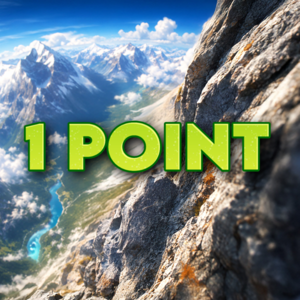 1 Point