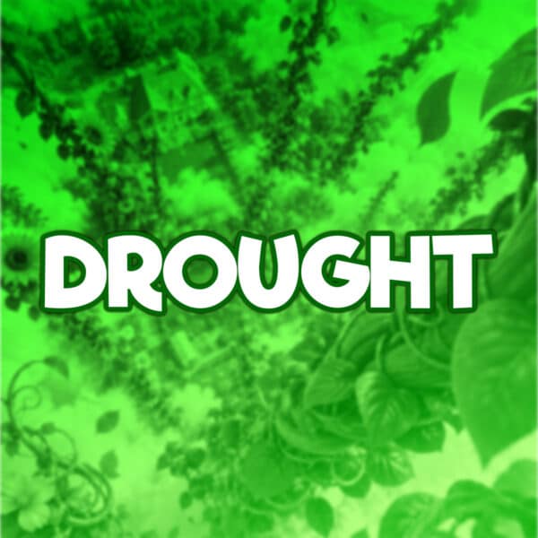 Drought | -10 Points | £750 Cash