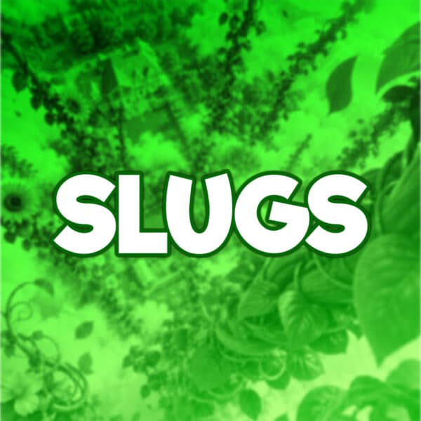 Slugs | -9 Points | £400 Cash