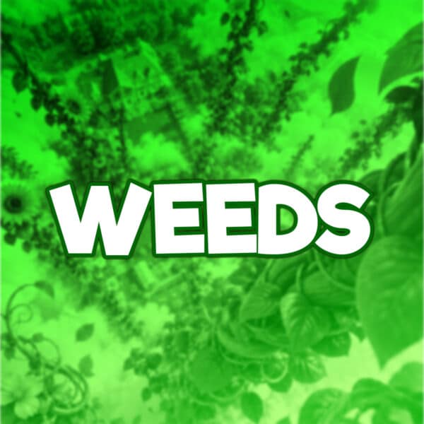 Weeds | -7 points | £100 Cash